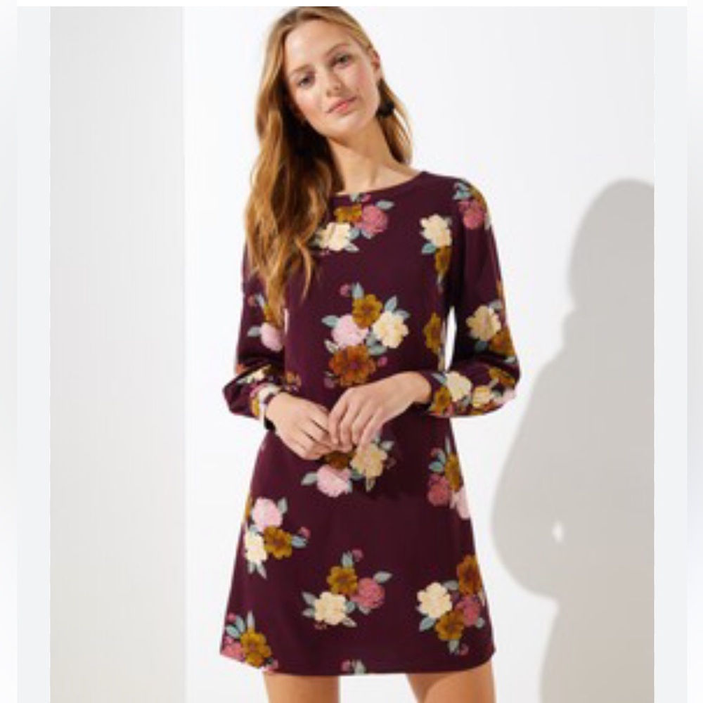 Loft Burgundy Floral Sheath Dress in Size 6.